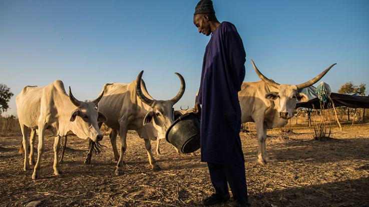 Strengthening Pastoral Livelihoods: Addressing Challenges and Recommendations (GS Paper 3, Land Reforms)