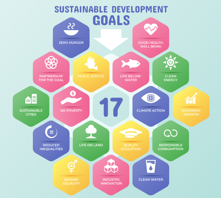 India’s Progress on Sustainable Development Goals (GS Paper 3, Environment)