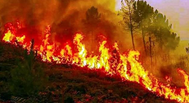 Strategies to Combat Forest Fires in Himachal Pradesh (GS Paper 3, Environment)