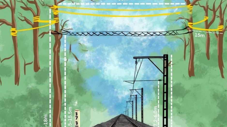 Railways to Construct Canopy Bridges for Gibbon Habitat in Assam (GS Paper 3, Biodiversity)