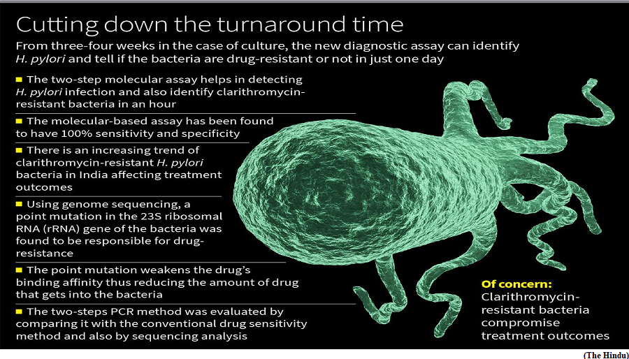 NICED makes quick detection of drug resistant H. pylori possible (GS Paper 3, Science and Technology)