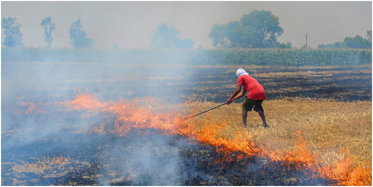 The harvest of polluted air (GS Paper 3, Environment)