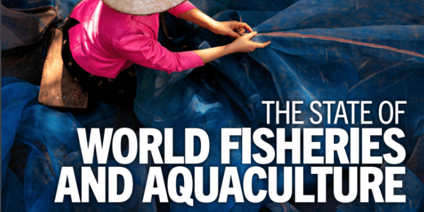 State of World Fisheries and Aquaculture (SOFIA) 2024 (GS Paper 3, Economy)