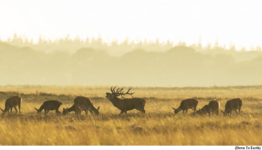 European Parliament adopts nature restoration law (GS Paper 3, Environment)