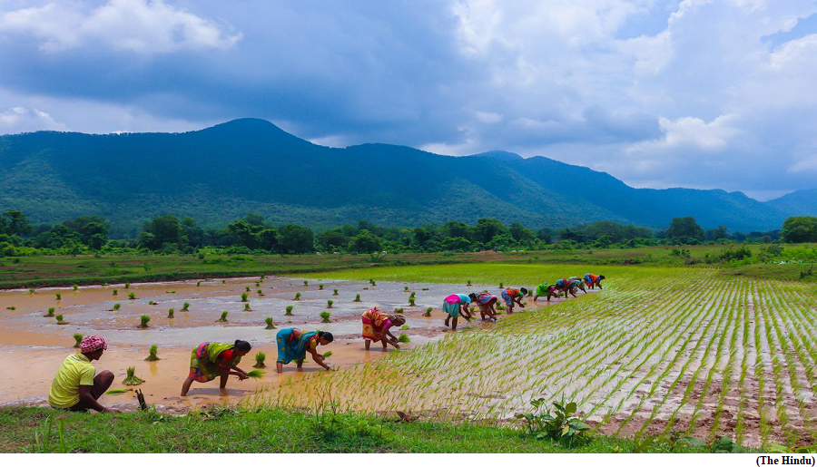 Climate phenomena and food security (GS Paper 3, Environment)