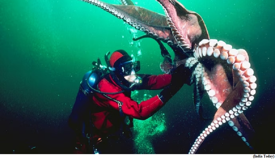 Octopus DNA hides big secret about Antarctic doomsday (GS Paper 3, Science and Technology)