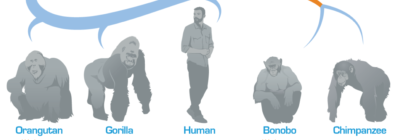 The X Factor: Unraveling the Role of the X Chromosome in Health and Disease (GS Paper 2, Health)