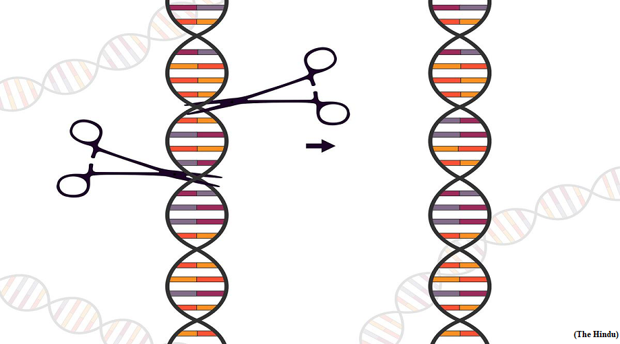 The era of CRISPR therapeutics is here  (GS paper 3, Science and Technology)