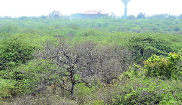 Critical Threats Facing the Aravallis (GS Paper 3, Environment)