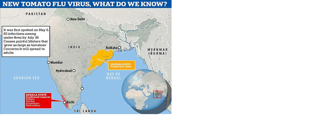 Tomato Flu Outbreak in India (GS Paper 3, Science and Tech)