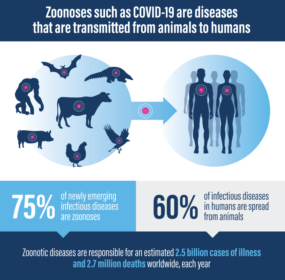 Working towards animal health (GS Paper 3, Health)