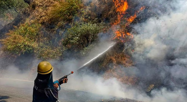 The Burning Hills of Uttarakhand: A Crisis Unfolding (GS Paper 3, Environment)