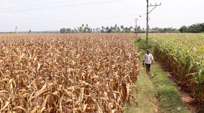 India’s $48 Billion Input Subsidy for Power and Agriculture: Balancing Act or Trade Distortion? (GS Paper 3, Economy)