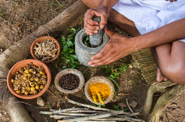 Advancing Traditional Medicine Research in India (GS Paper 2, Health)