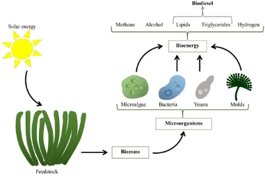 Microbes, not fossil fuels, produced most new methane: study (GS Paper 3, Environment)